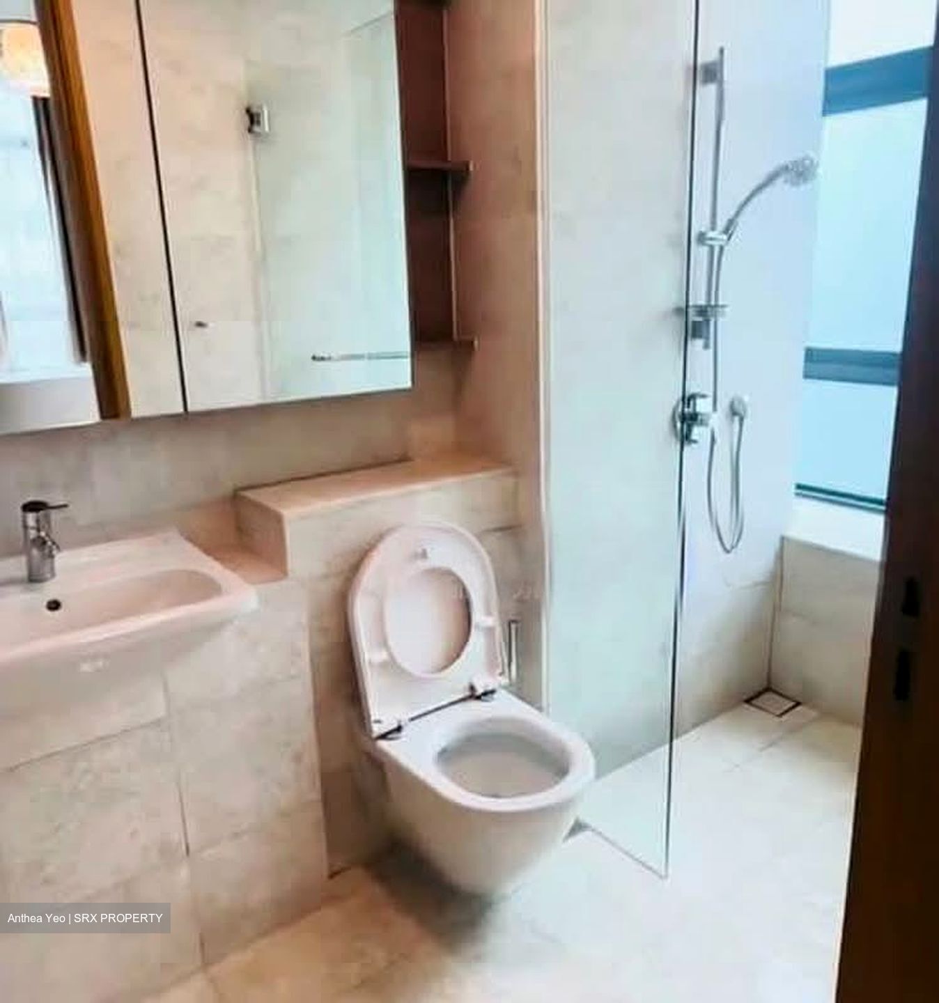 Soleil @ Sinaran (D11), Condominium #576226531